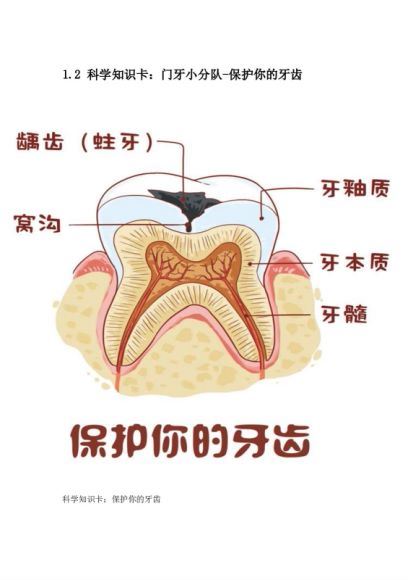 凯叔：凯叔神奇图书馆第一季 网盘分享(4.11G)