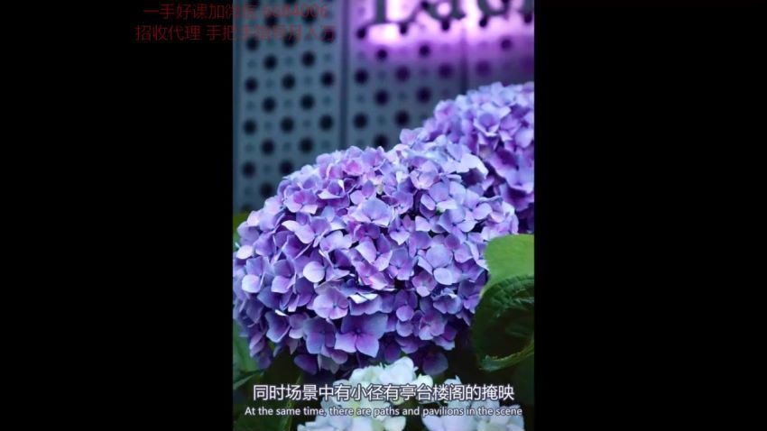 花卉摄影教程 网盘分享(1.83G)