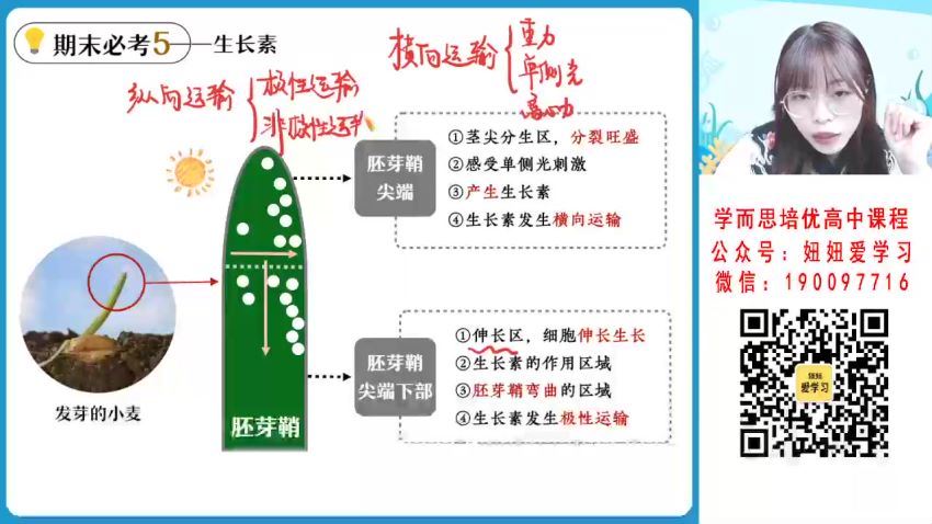 作业帮：【2023寒】高二生物谢一凡A+ 19 网盘分享(4.97G)