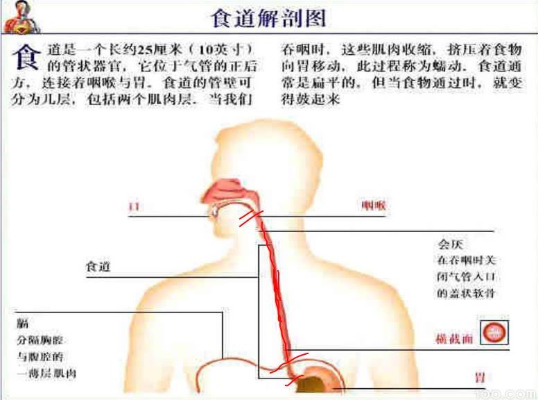 健康管理师-2017年线下培训3天视频 网盘分享(3.37G)